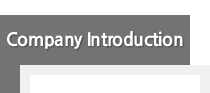Company Introduction