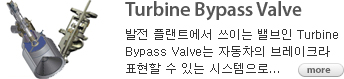 Turbine Bypass Valve